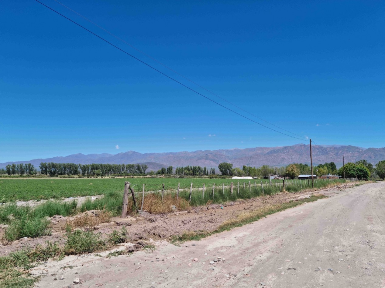 Hermosa finquita de 6 hectareas inculta en el Valle de Uco, Mendoza al pie de la montaña, con derecho de riego.