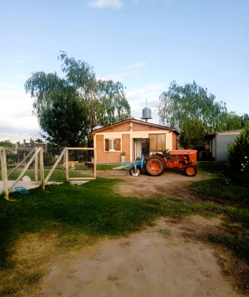 Desarrollo Enoturismo 2 has Malbec con tres cabañas en Valle de Uco, Mendoza.