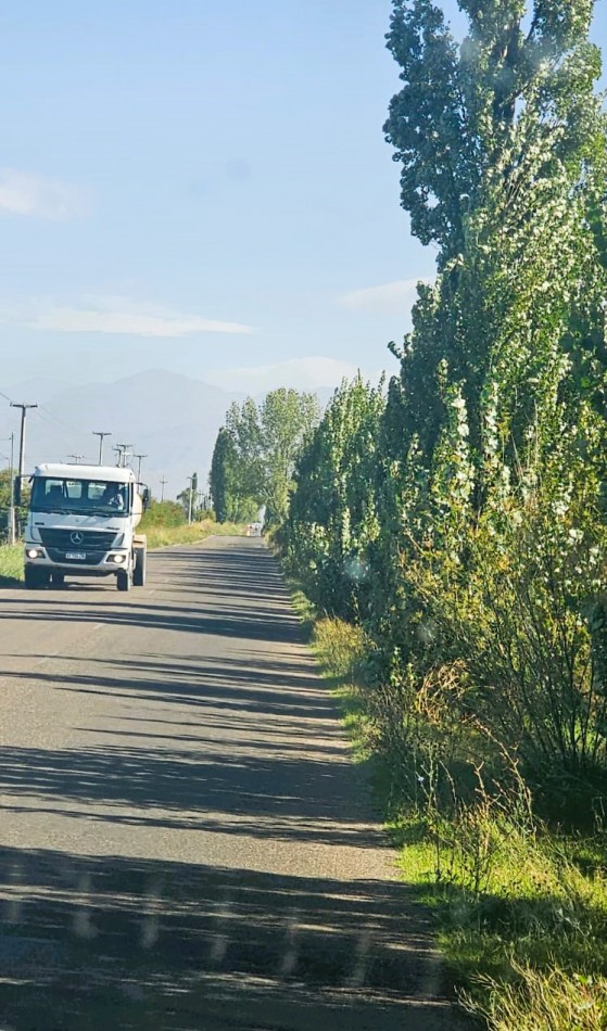 Finca de 8 Has., con Malbec de alta calidad, en Altamira, San Carlos , Mendoza.