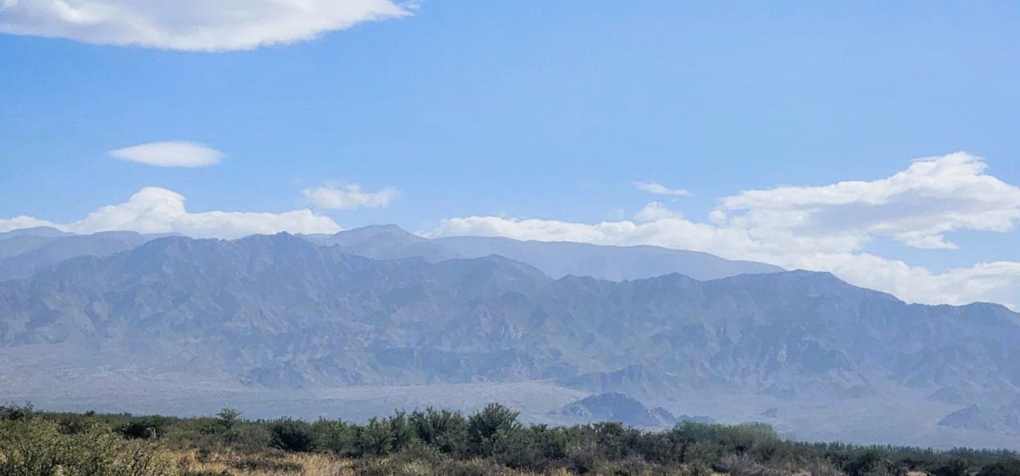 Finca de 8 Has., con Malbec de alta calidad, en Altamira, San Carlos , Mendoza.