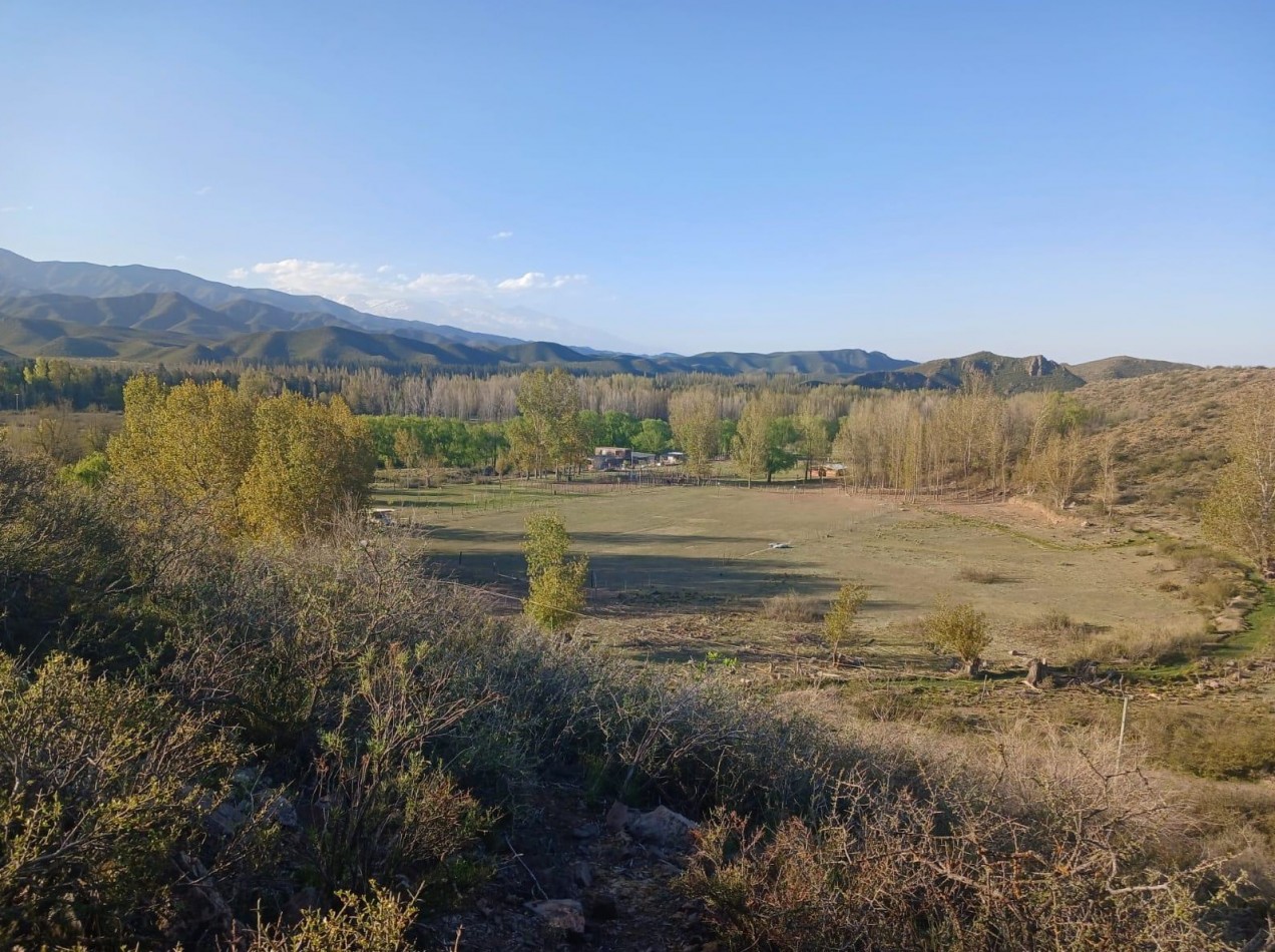 Espectacular terreno de 1 ha en Los Chacayes, a metros del Manzano Historico, Mendoza.