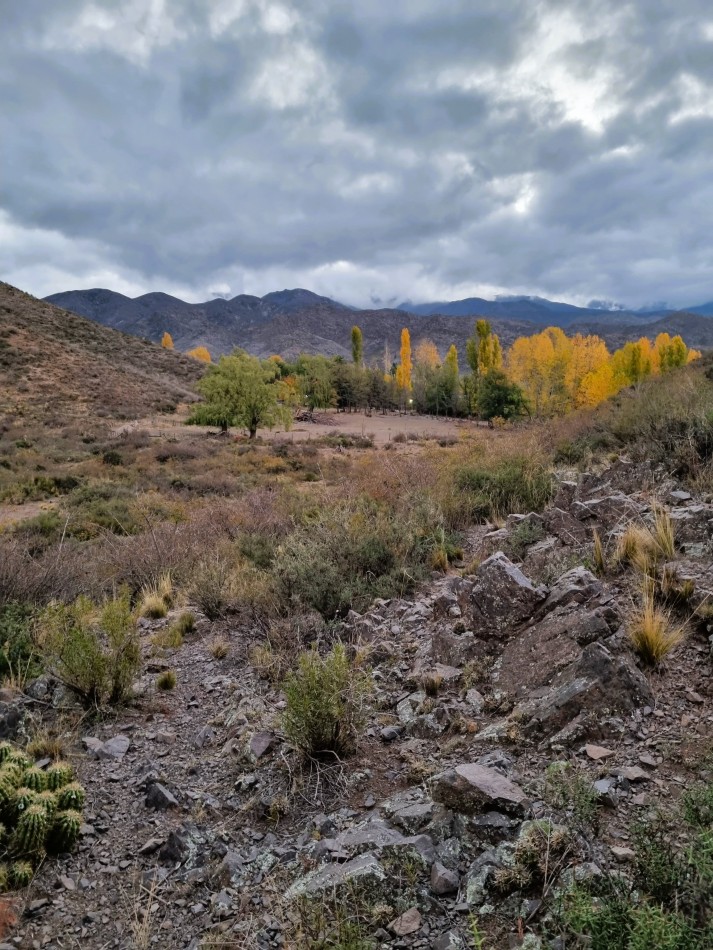 Espectacular terreno de 1 ha en Los Chacayes, a metros del Manzano Historico, Mendoza.