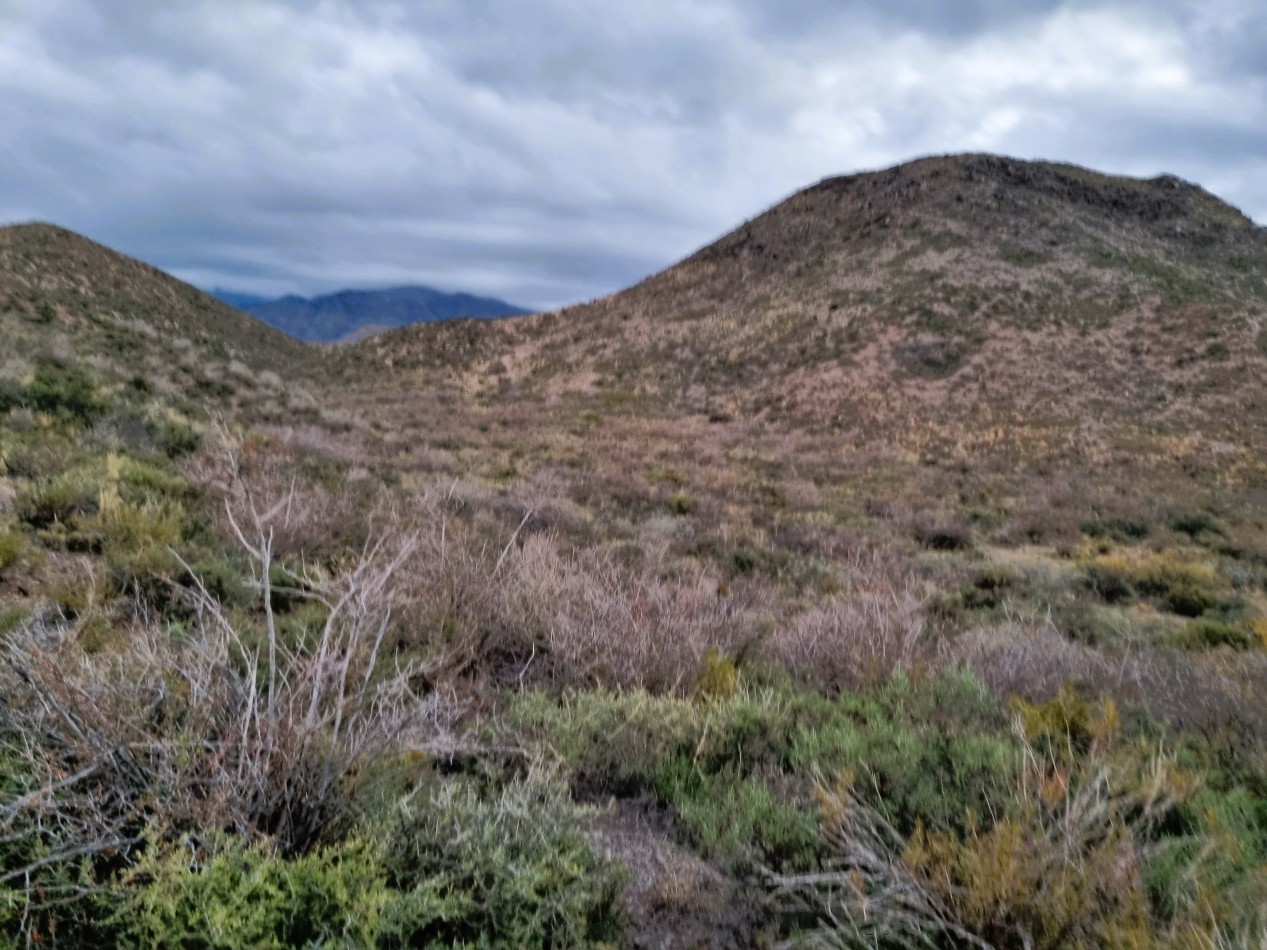 Espectacular terreno de 1 ha en Los Chacayes, a metros del Manzano Historico, Mendoza.