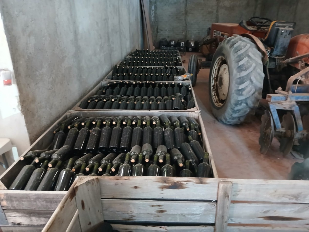 excelente Bodega con viñedos en Vsita Flores, Valle de Uco. Mendoza 