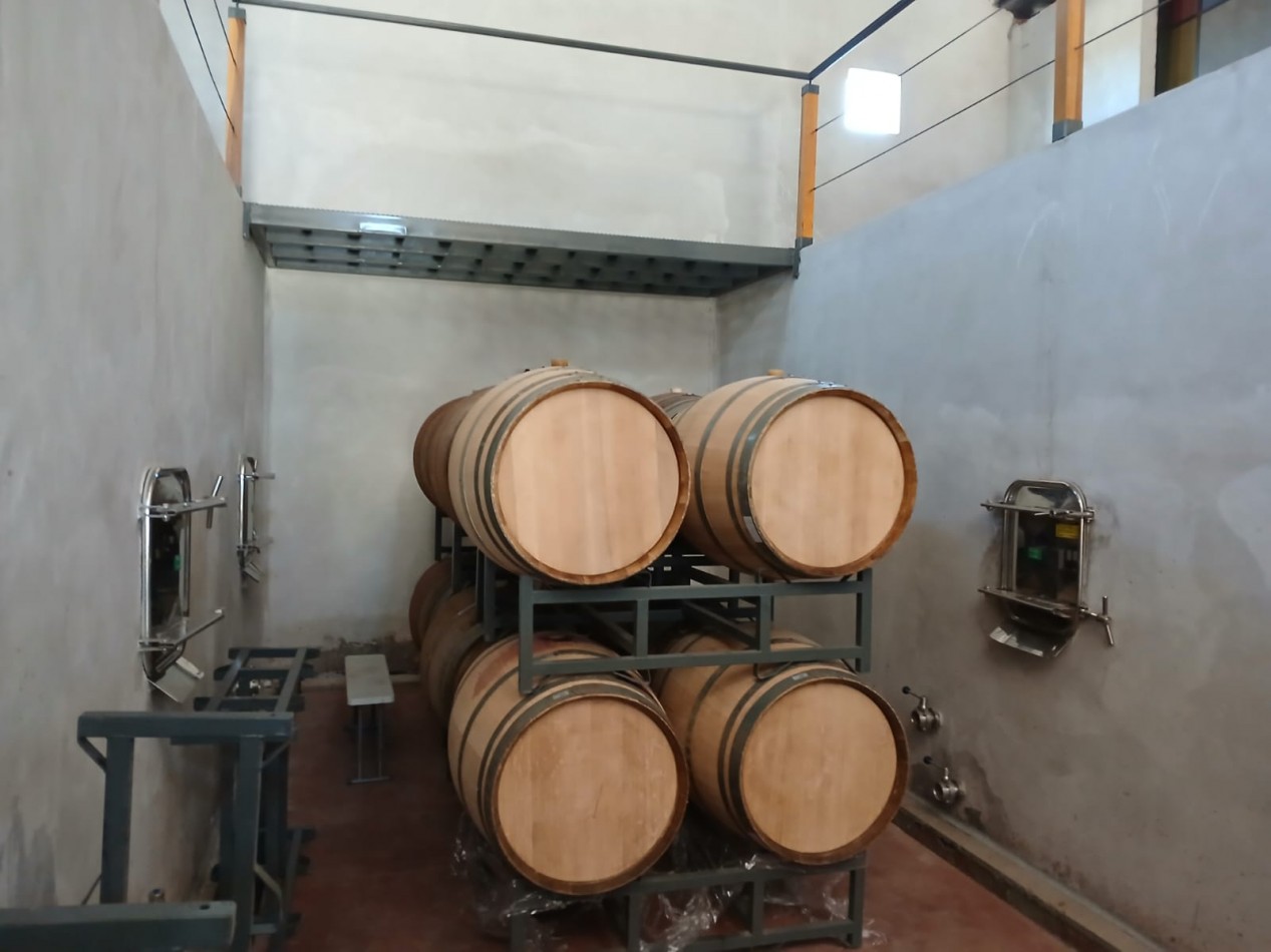 excelente Bodega con viñedos en Vsita Flores, Valle de Uco. Mendoza 