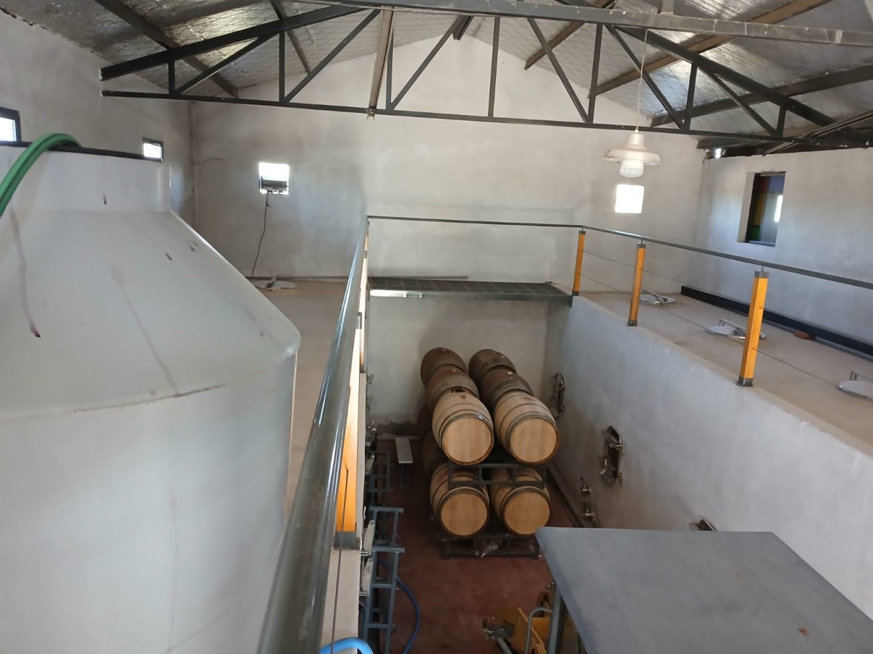 excelente Bodega con viñedos en Vsita Flores, Valle de Uco. Mendoza 