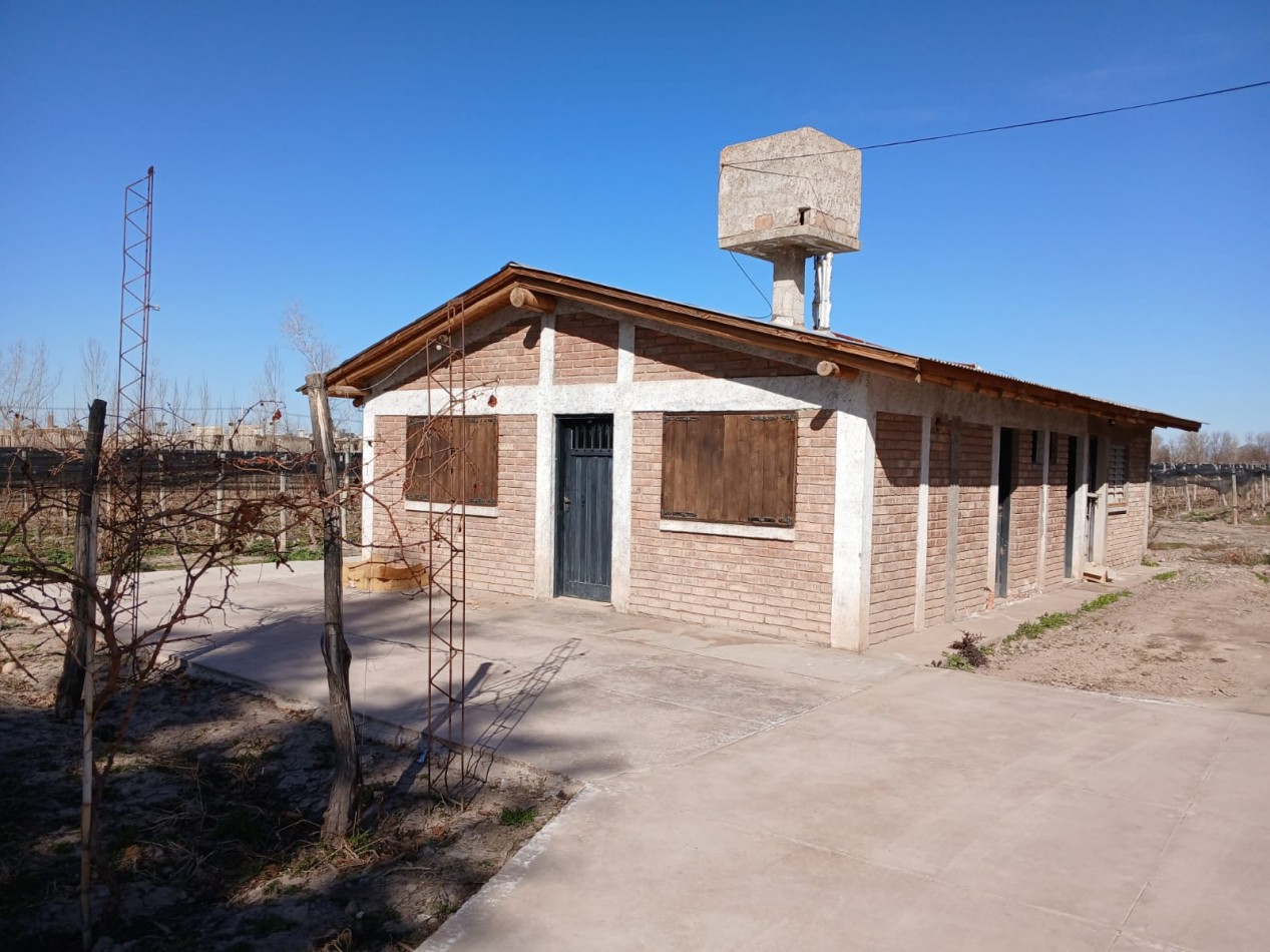 excelente Bodega con viñedos en Vsita Flores, Valle de Uco. Mendoza 