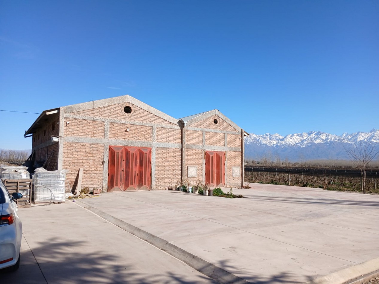 excelente Bodega con viñedos en Vsita Flores, Valle de Uco. Mendoza 