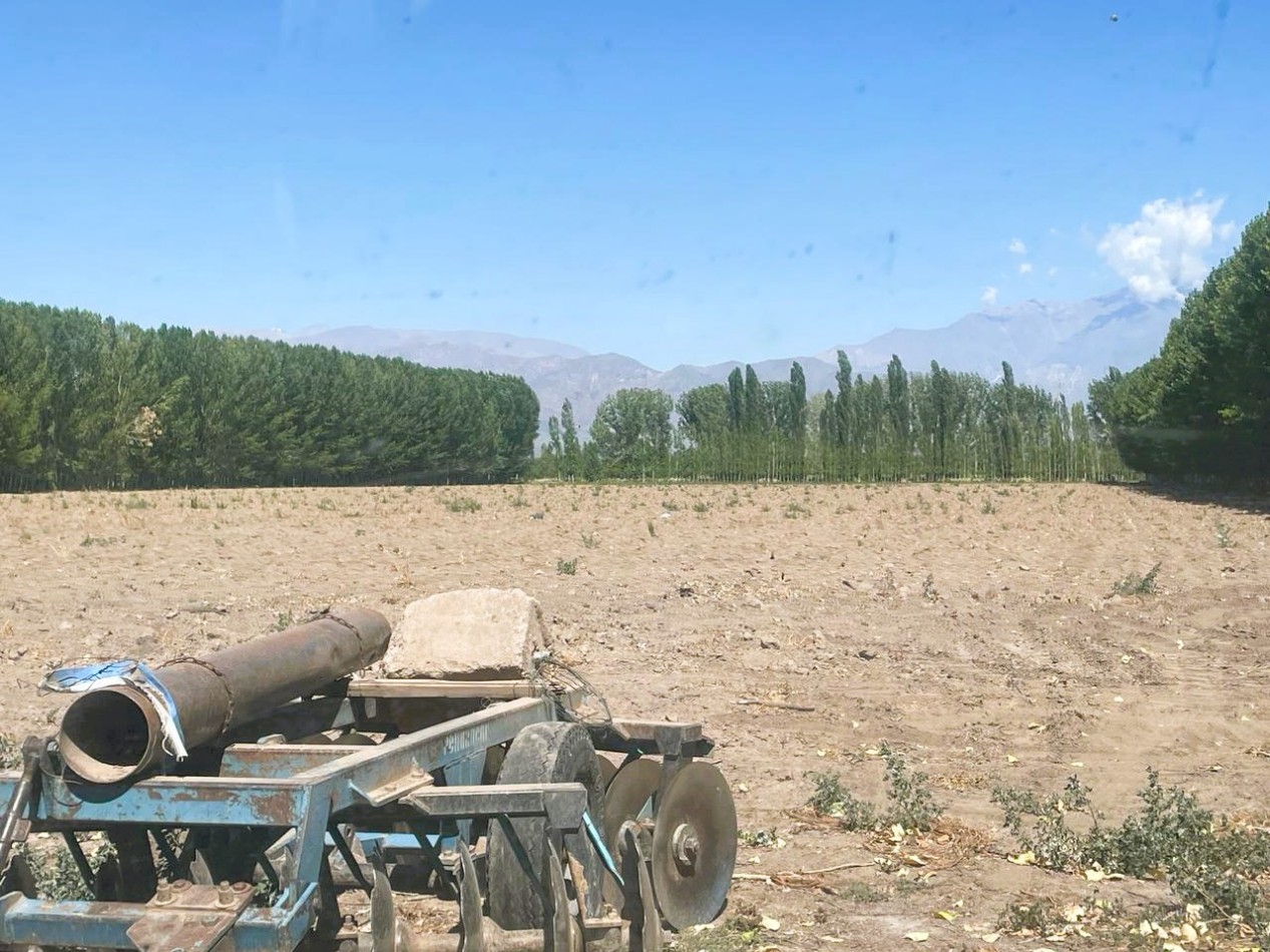 Finca 21.5 hectareas en San Carlos, Mendoza. 