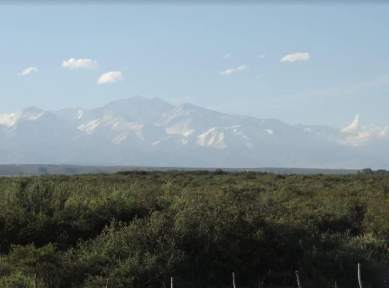 Espectacular campo de 60 has. para desarrollar en Gualtallary, Tupungato, Mendoza.