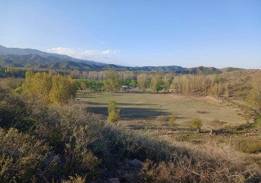 Espectacular terreno de 1 ha en Los Chacayes, a metros del Manzano Historico, Mendoza.