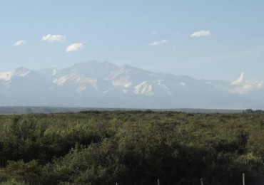 Espectacular campo de 60 has. para desarrollar en Gualtallary, Tupungato, Mendoza.