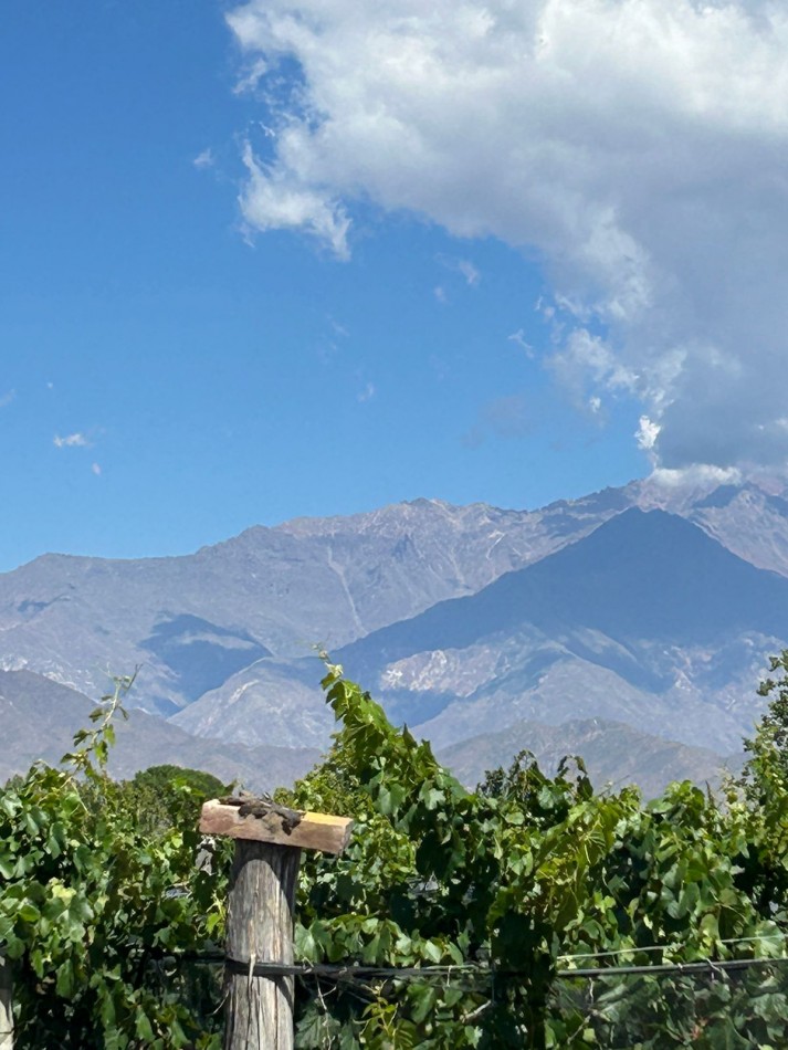 Hermosa Finca con viñedos, 10 hectareas en Tupungato, Mendoza.